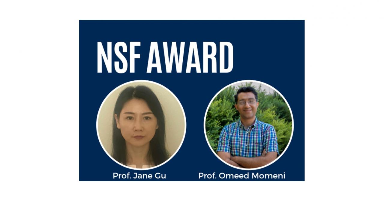 NSF Award