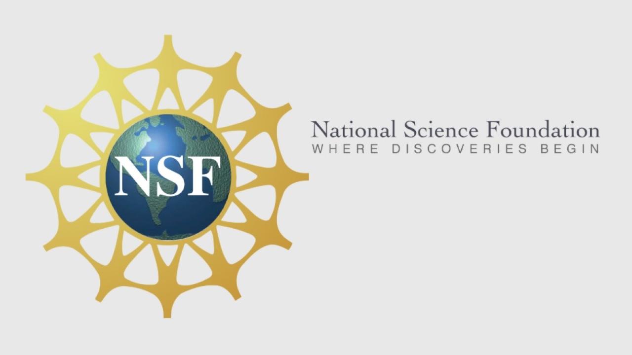 NSF Award