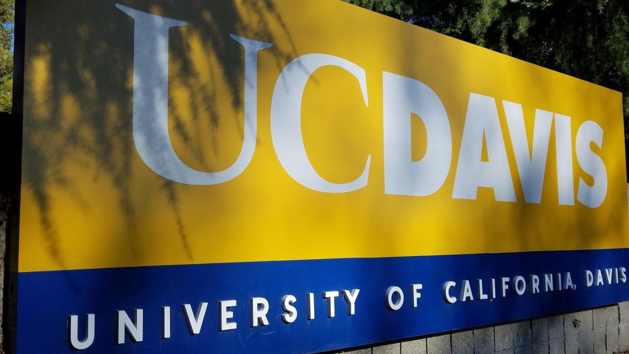 Current Opportunities At Uc Davis Ece