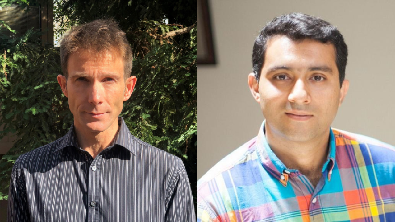 image of Professors Momeni and Buckley
