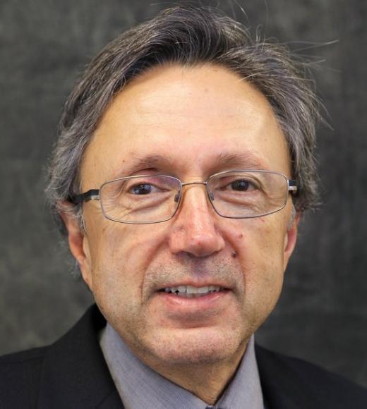 Headshot of Bahram Ravani