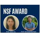 NSF Award