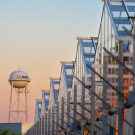 UC Davis watertower and greenhouses
