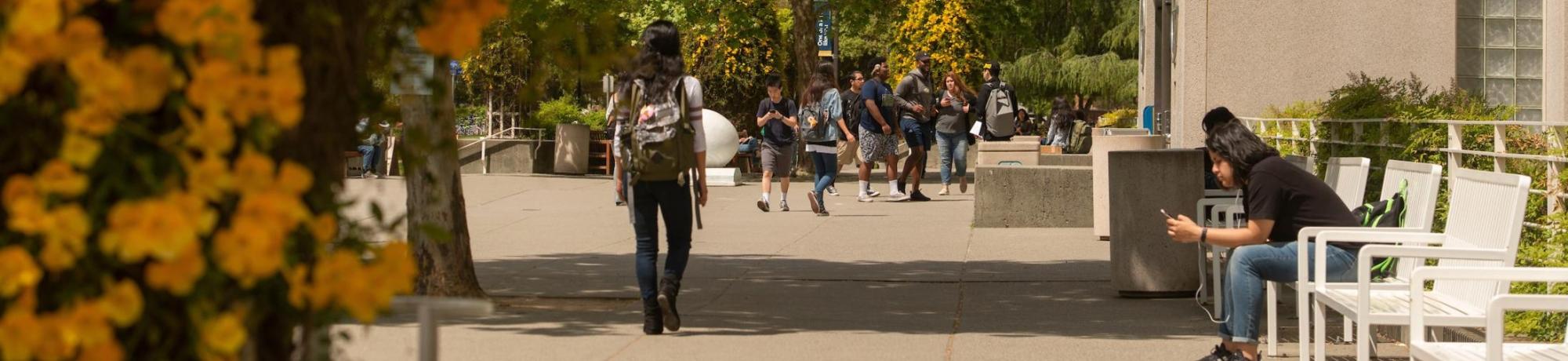 Annual Mandatory Advising